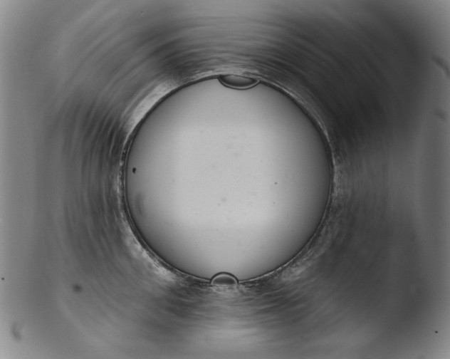 X0000103400906200809261616