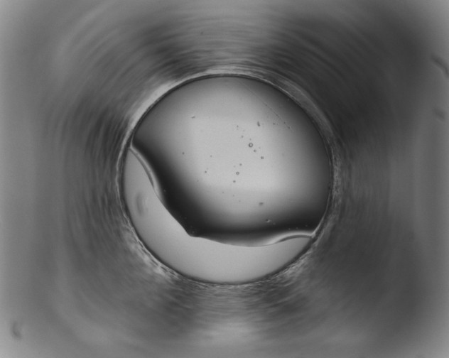 X0000103400908200809261616