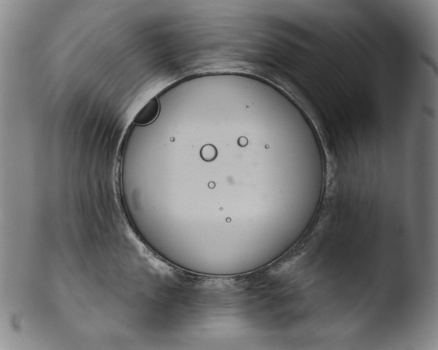 X0000103400909200809261616