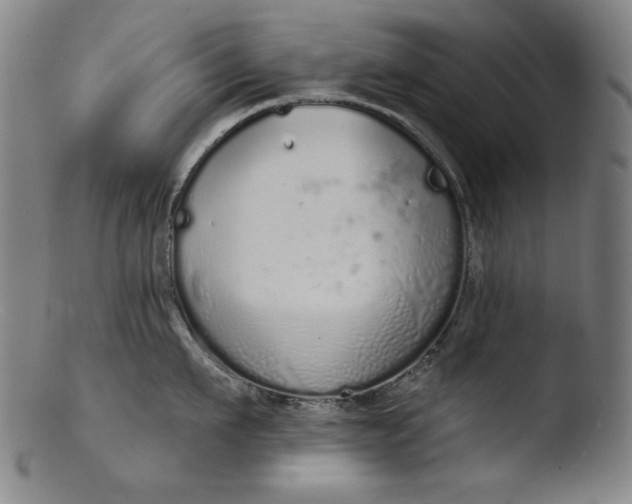 X0000103400911200809261616