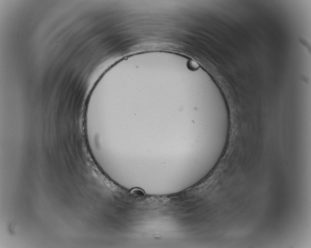 X0000103400912200809261616