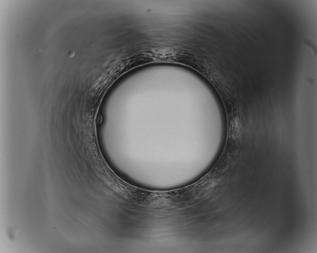 X0000103400913200809261616