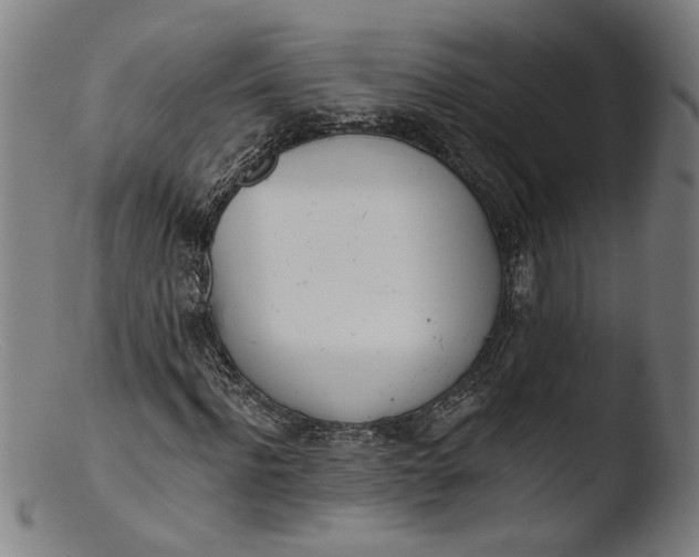 X0000103400916200809261616