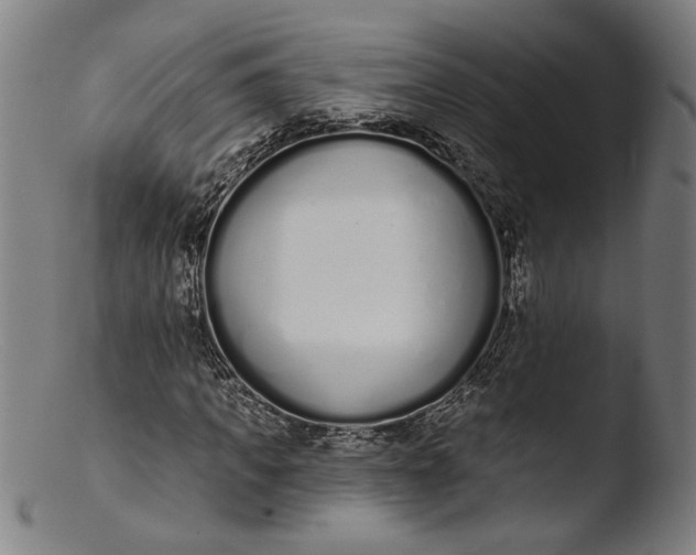 X0000103400917200809261616