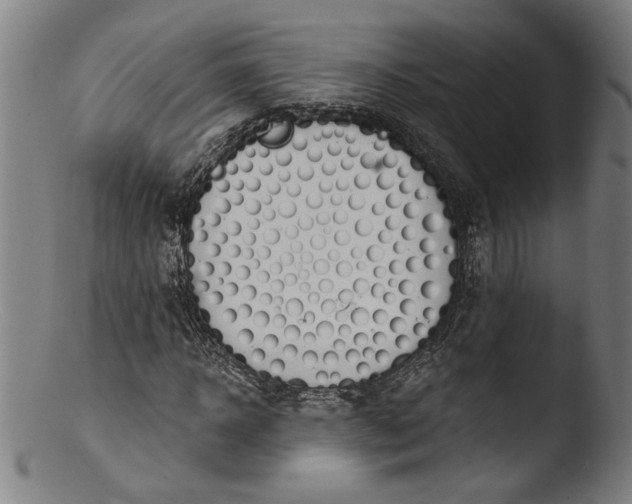 X0000103400918200809261616