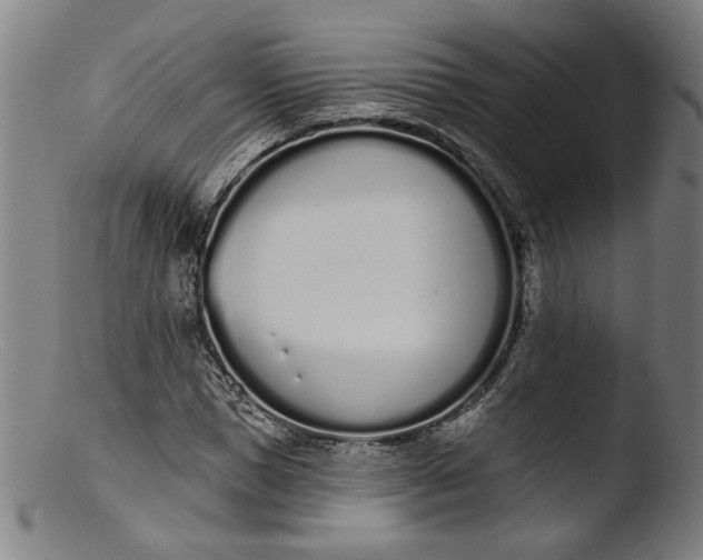 X0000103400921200809261616