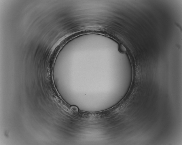 X0000103400923200809261616