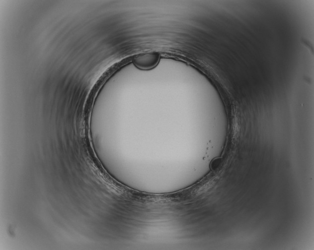 X0000103400924200809261616