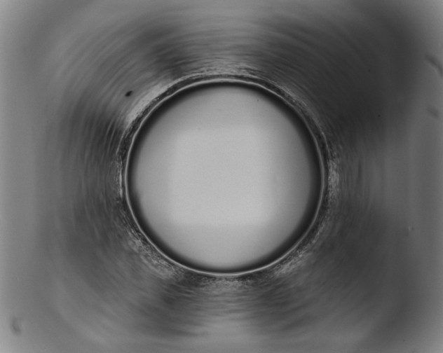 X0000103400925200809261616