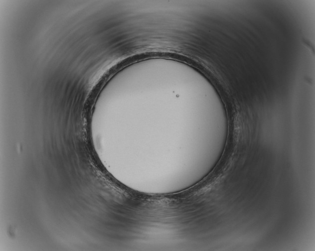 X0000103400926200809261616