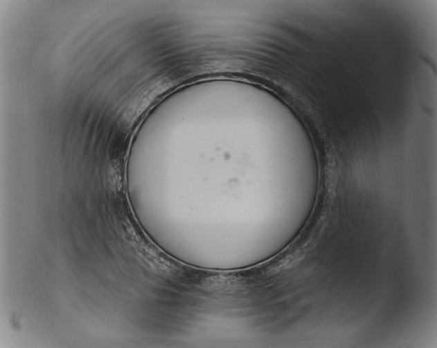 X0000103400929200809261616