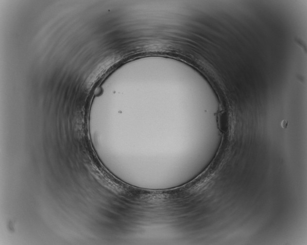 X0000103400930200809261616