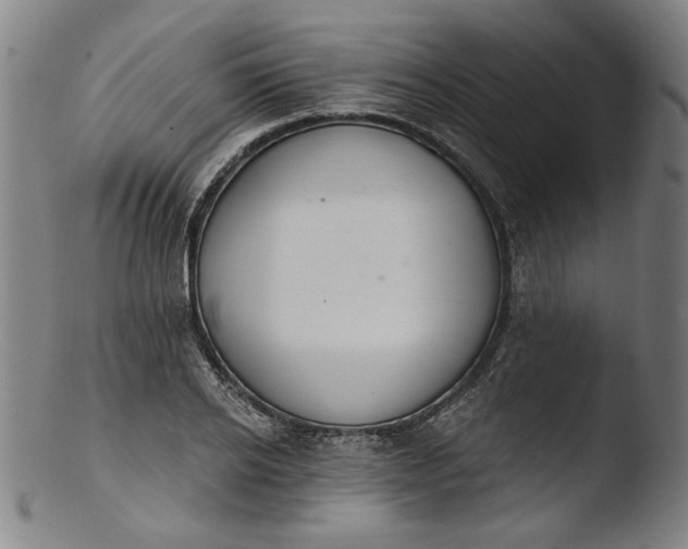 X0000103400934200809261616