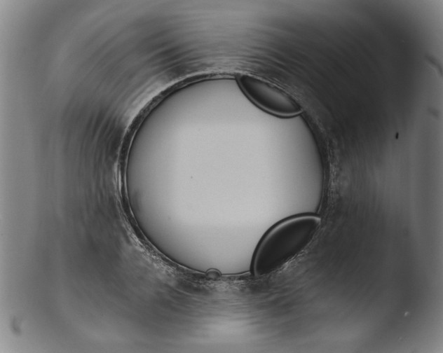 X0000103400936200809261616