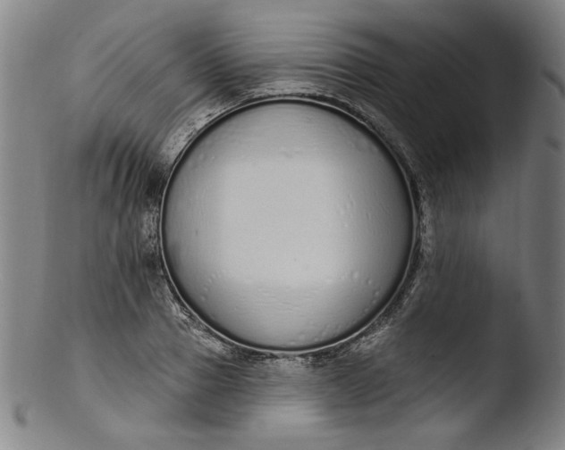 X0000103400937200809261616