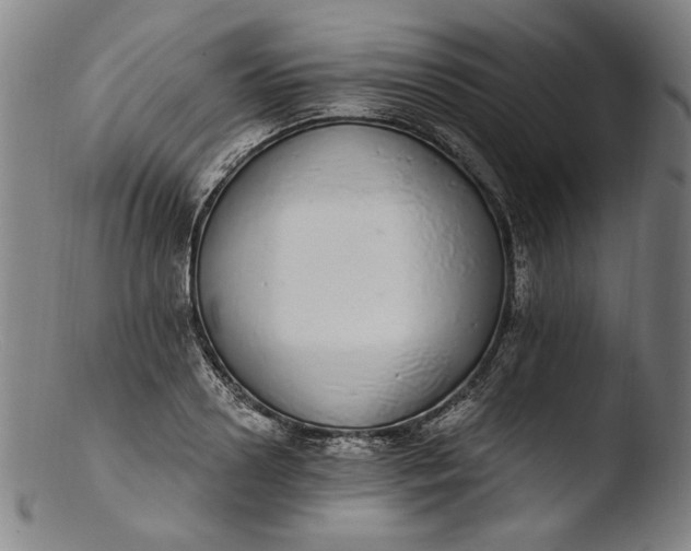 X0000103400938200809261616