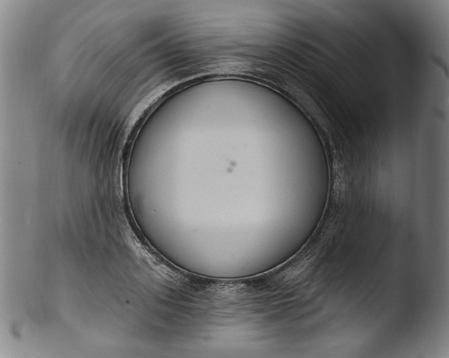 X0000103400939200809261616