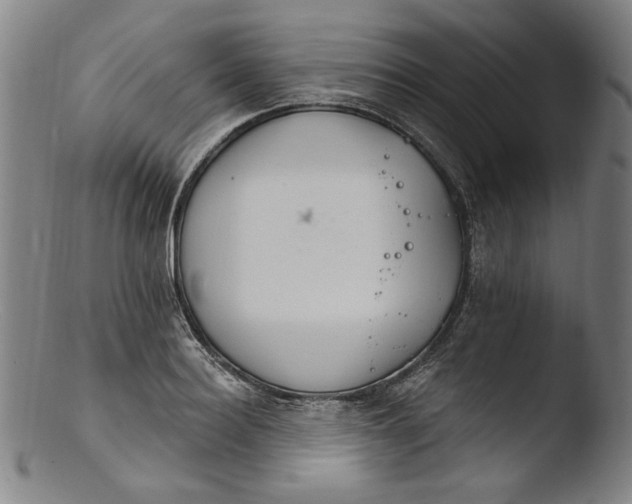 X0000103400940200809261616