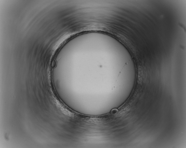 X0000103400942200809261616