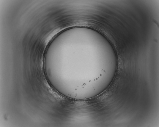 X0000103400944200809261616