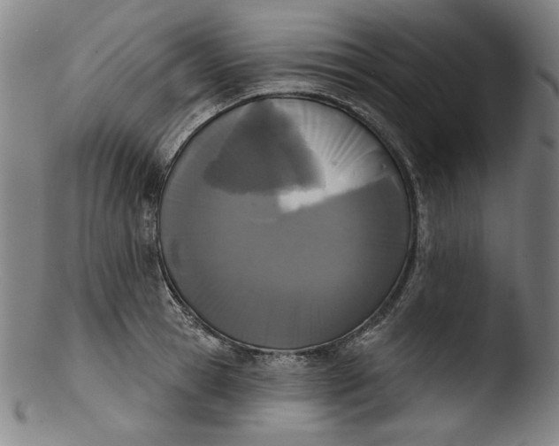 X0000103400945200809261616