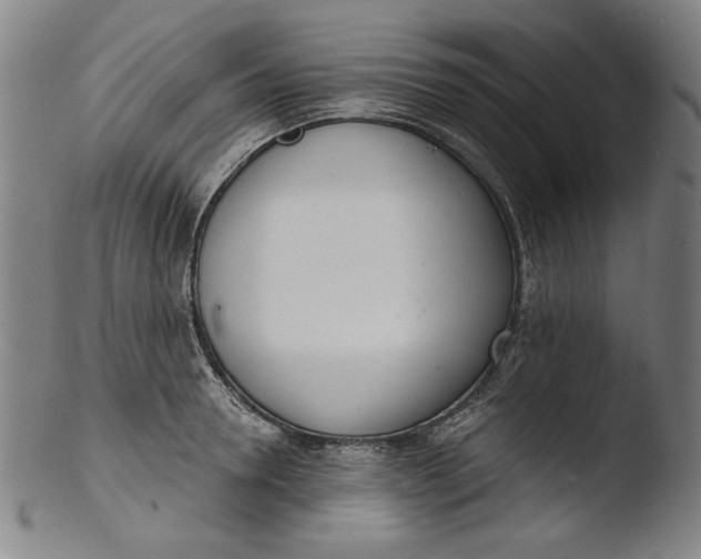 X0000103400946200809261616