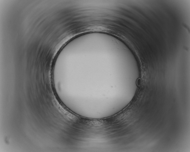 X0000103400947200809261616