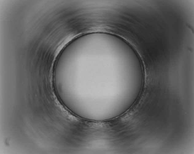 X0000103400949200809261616