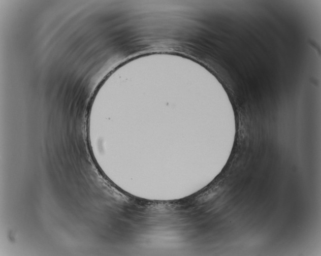 X0000103400950200809261616