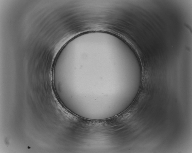 X0000103400951200809261616