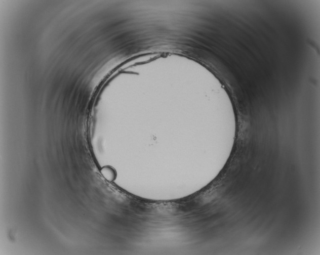 X0000103400952200809261616