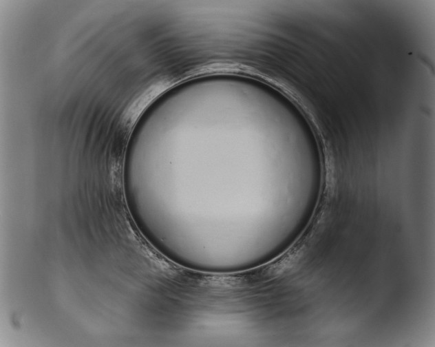 X0000103400953200809261616