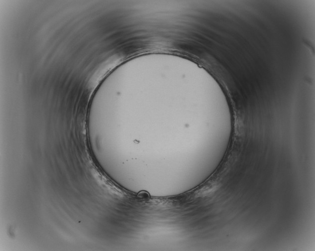 X0000103400954200809261616