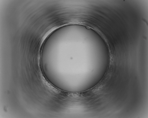 X0000103400955200809261616