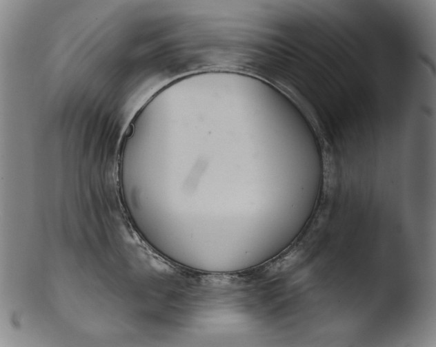 X0000103400956200809261616