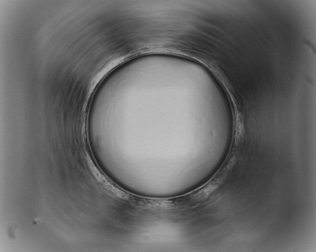 X0000103400957200809261616