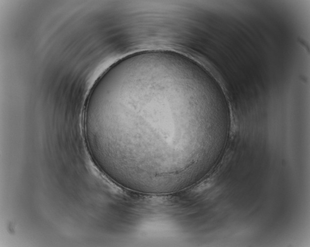 X0000103400958200809261616