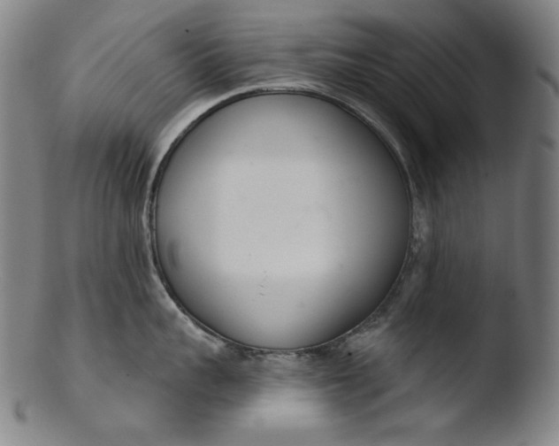 X0000103400959200809261616