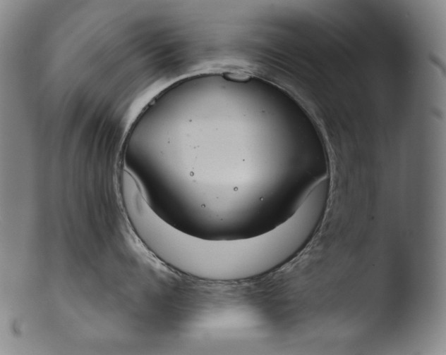 X0000103400960200809261616