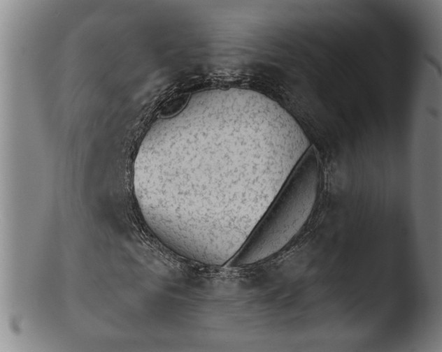 X0000103400961200809261616