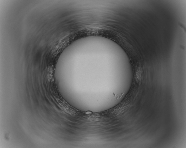 X0000103400964200809261616