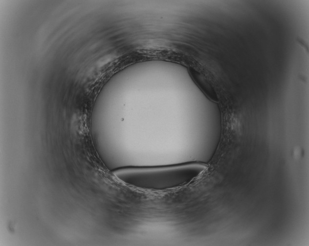 X0000103400965200809261616