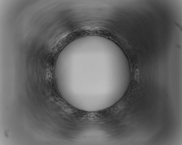 X0000103400966200809261616