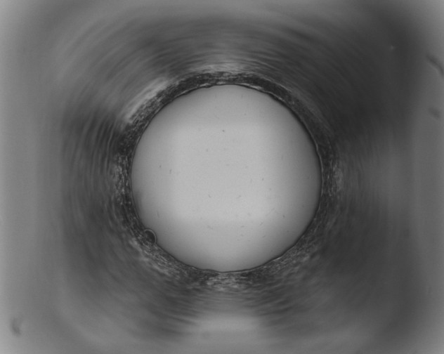 X0000103400967200809261616