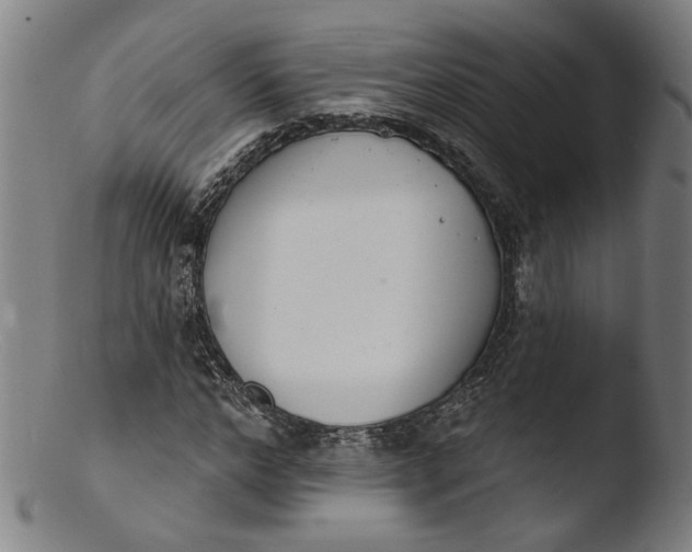 X0000103400968200809261616