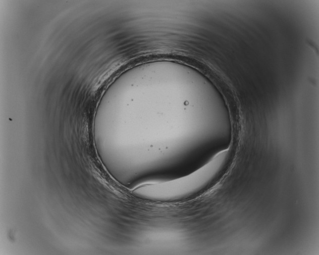 X0000103400969200809261616