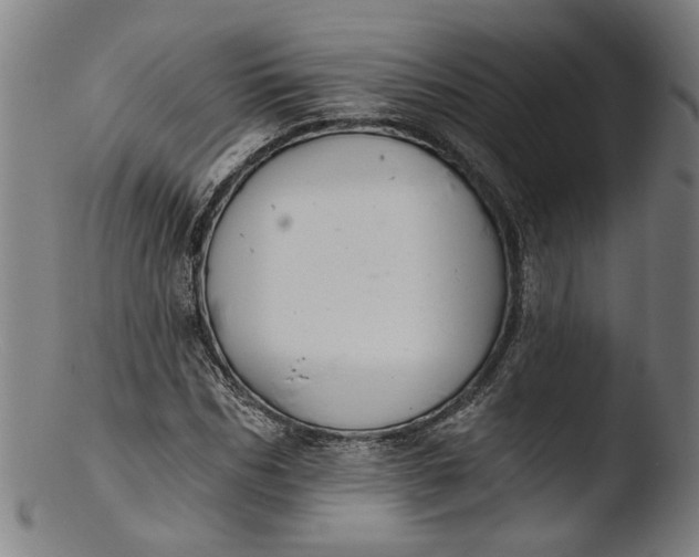 X0000103400970200809261616