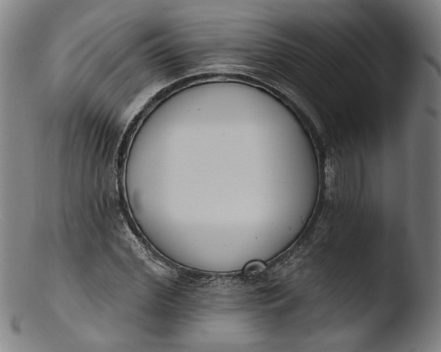 X0000103400972200809261616