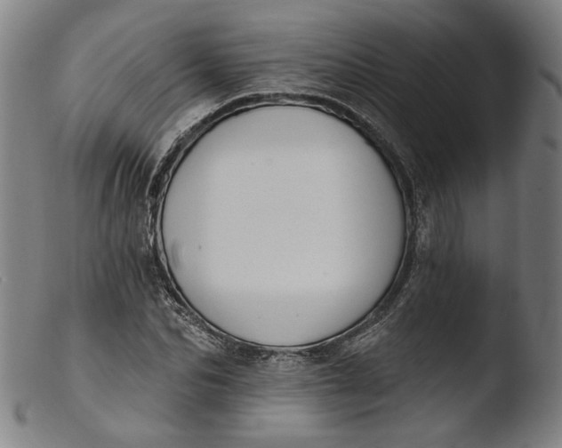 X0000103400974200809261616