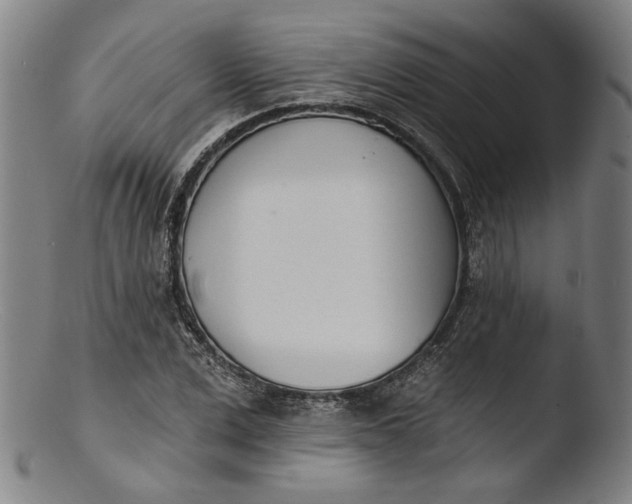 X0000103400975200809261616